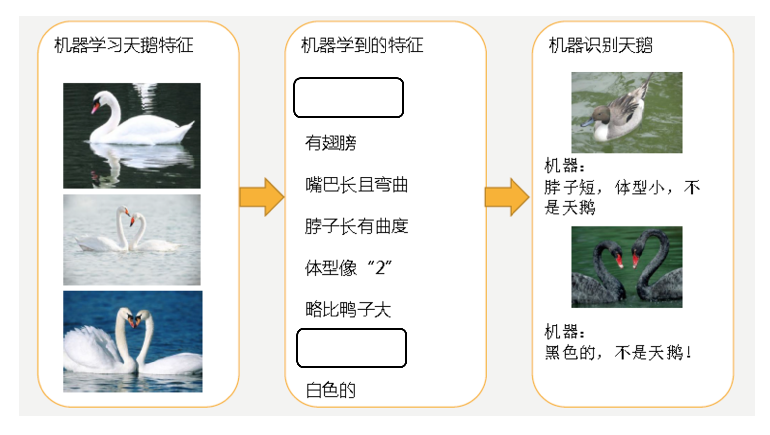 è¿æå